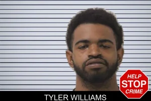 Tyler Williams mugshot