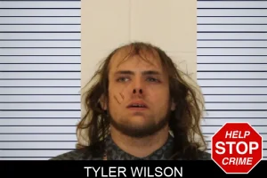 Tyler Wilson mugshot