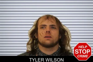 Tyler Wilson mugshot