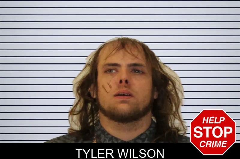 Tyler Wilson mugshot