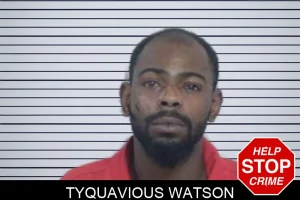 Tyquavious Watson mugshot
