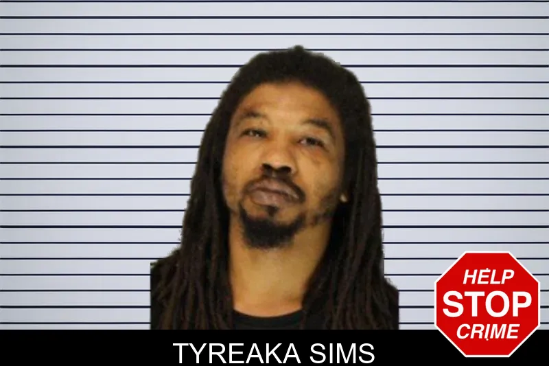 Tyreaka Sims mugshot – Hall County , Georgia Tyreaka Sims mugshot