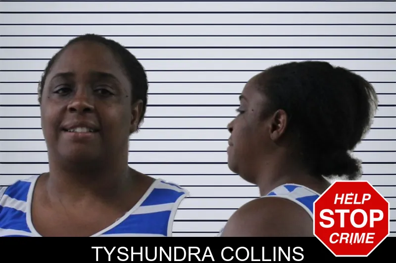 Tyshundra Collins mugshot – Houston County , Georgia Tyshundra Collins mugshot