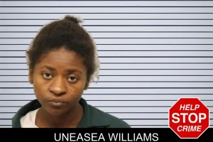 Uneasea Williams mugshot