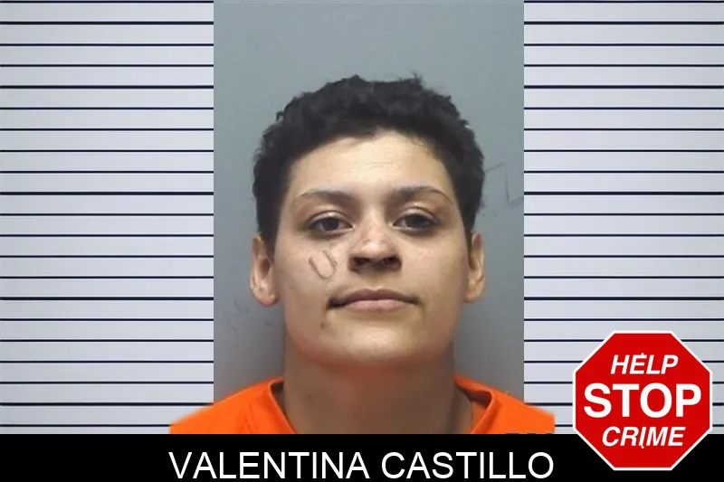Valentina Castillo mugshot