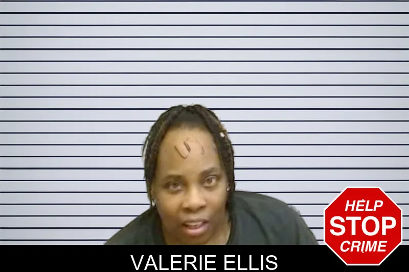 Valerie Ellis mugshot
