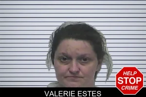 Valerie Estes mugshot