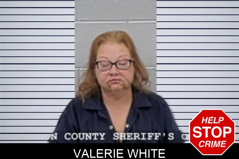 Valerie White mugshot – Walton County , Georgia Valerie White mugshot