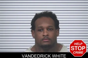 Vandedrick White mugshot