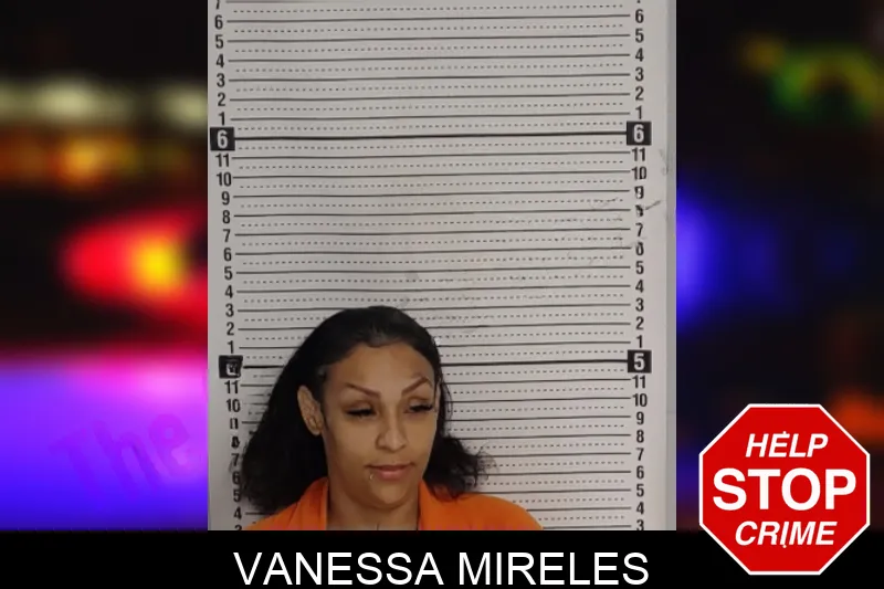 Vanessa Mireles mugshot