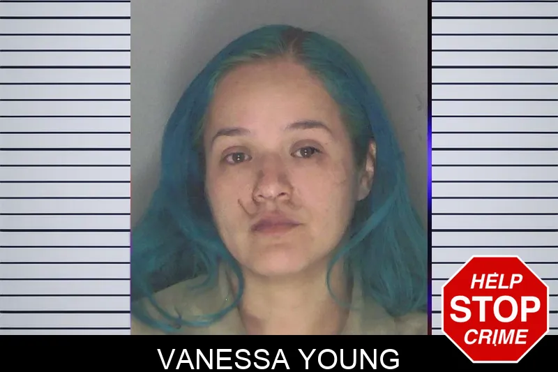 Vanessa Young mugshot – Douglas County , Georgia Vanessa Young mugshot