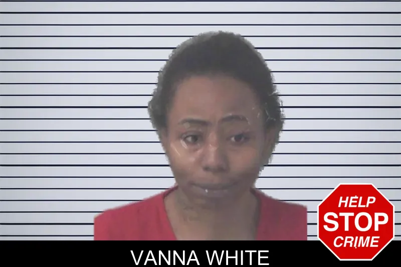 Vanna White mugshot