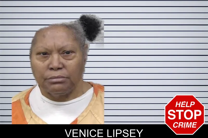 Venice Lipsey mugshot – Paulding County , Georgia Venice Lipsey mugshot