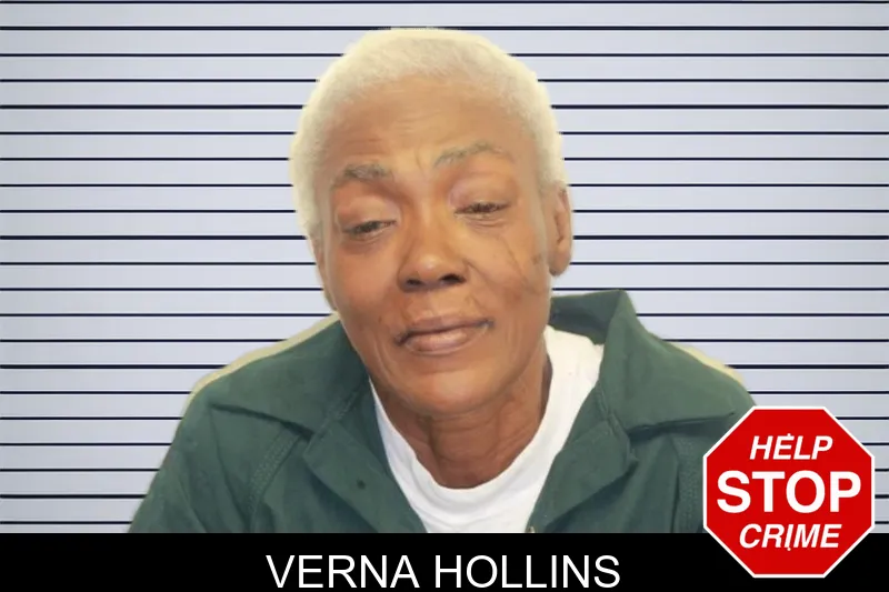 Verna Hollins mugshot