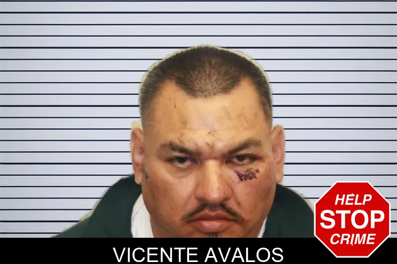 Vicente Avalos mugshot