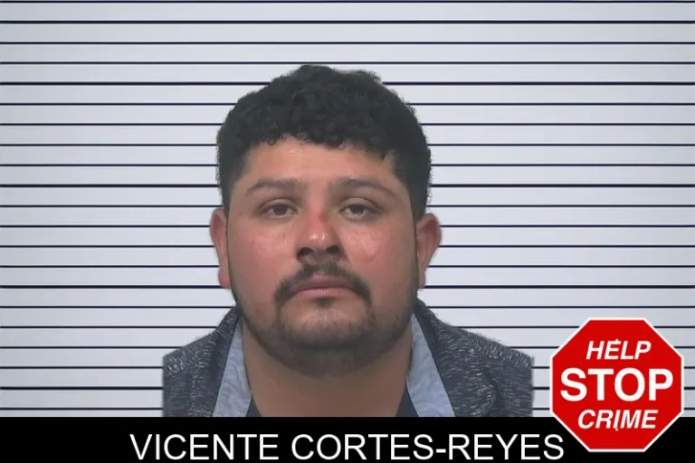 Vicente Cortes-Reyes