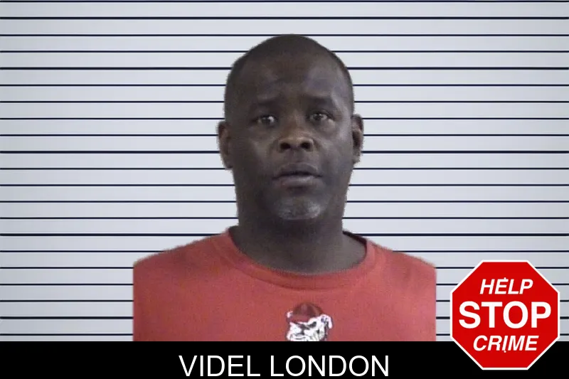 Videl London mugshot