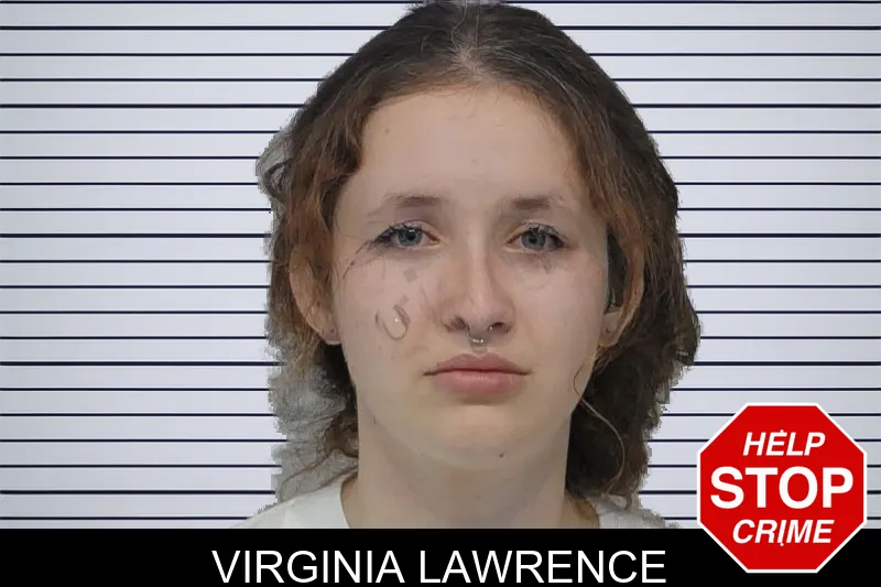 Virginia Lawrence mugshot
