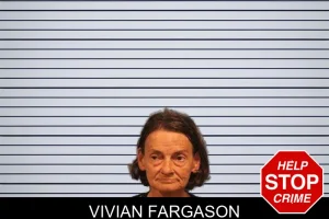 Vivian Fargason mugshot