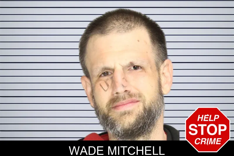 Wade Mitchell mugshot