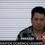 Waifer Domingo-Ramirez mugshot