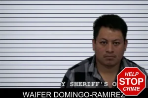 Waifer Domingo-Ramirez mugshot