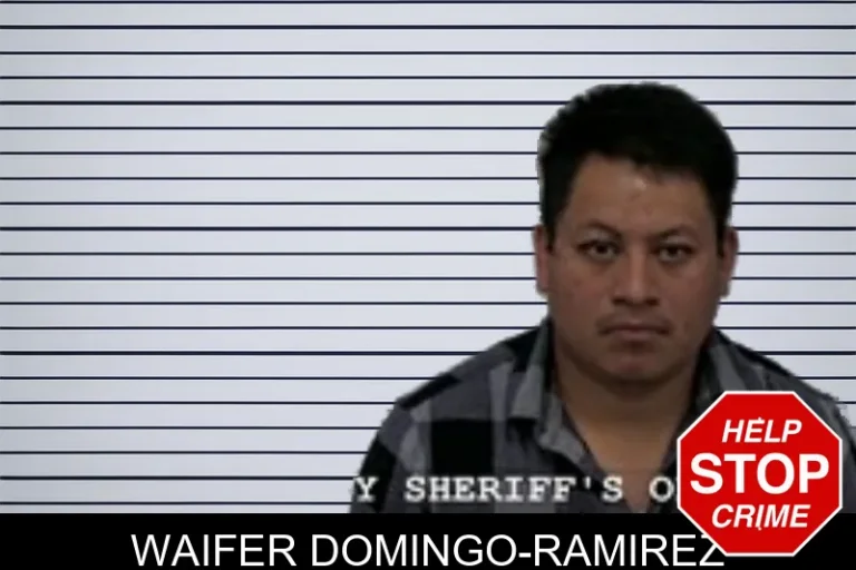 Waifer Domingo-Ramirez