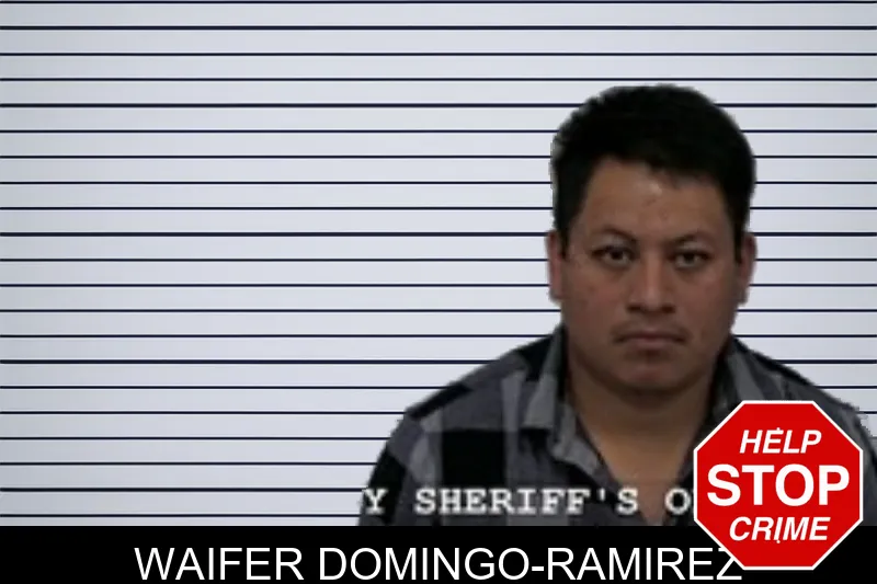 Waifer Domingo-Ramirez mugshot