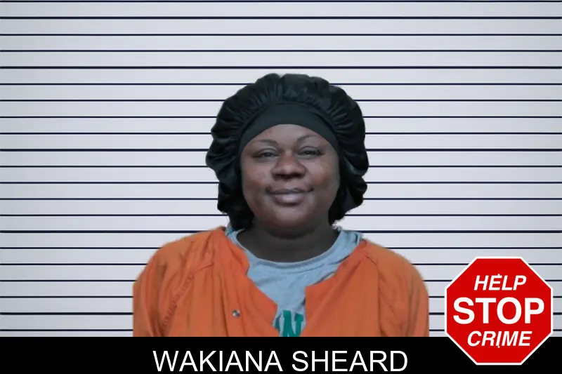Wakiana Sheard mugshot – Ben Hill County , Georgia Wakiana Sheard mugshot