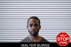 Walter Burns mugshot