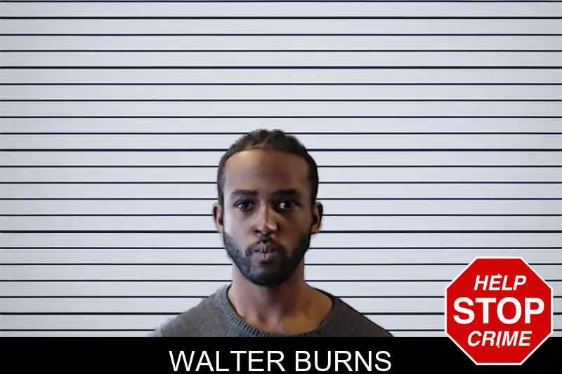 Walter Burns mugshot