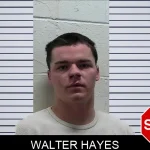 Walter Hayes mugshot – Pierce County , Georgia Walter Hayes mugshot