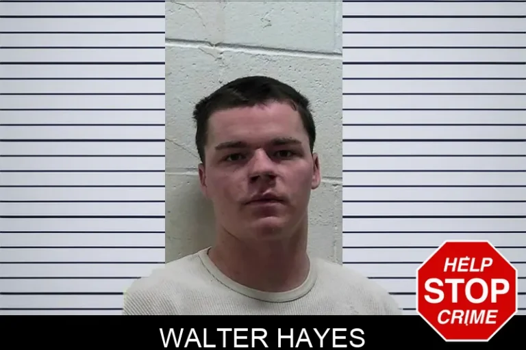 Walter Hayes