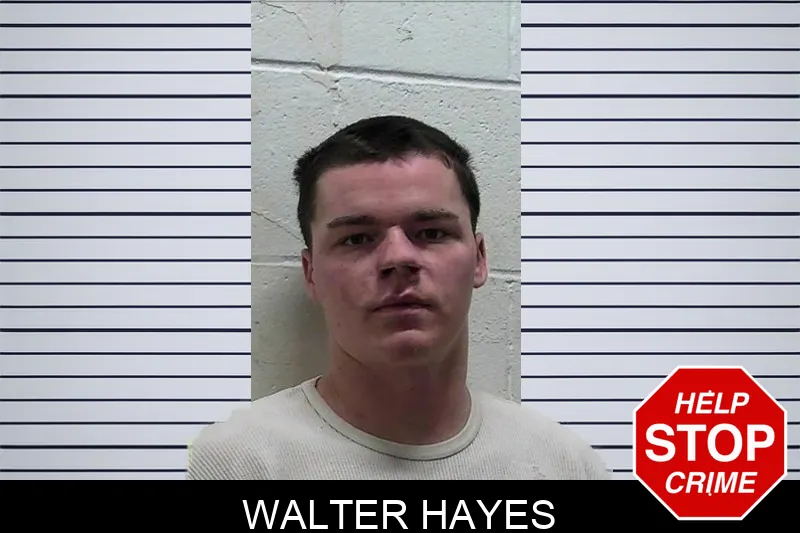 Walter Hayes mugshot