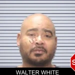 Walter White mugshot