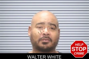 Walter White mugshot