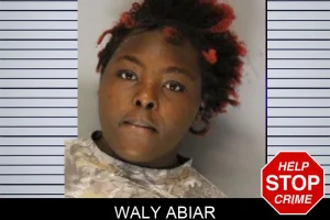 Waly Abiar mugshot