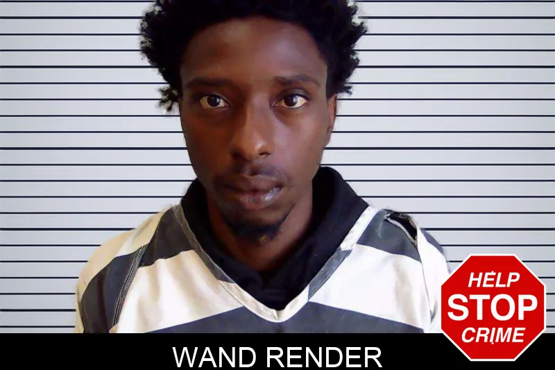 Wand Render mugshot – Evans County , Georgia Wand Render mugshot