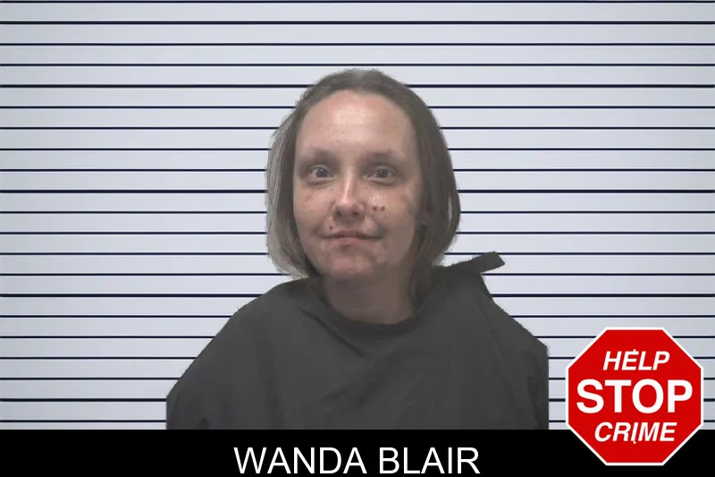 Wanda Blair mugshot