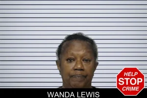 Wanda Lewis mugshot