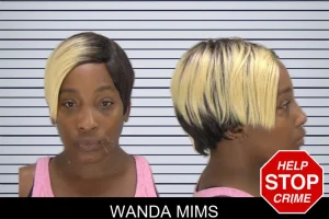 Wanda Mims mugshot