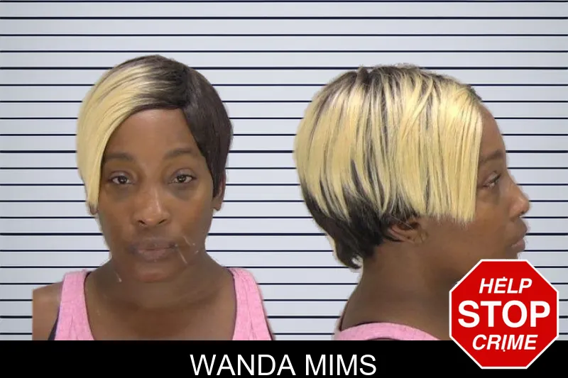 Wanda Mims mugshot