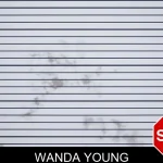 Wanda Young mugshot