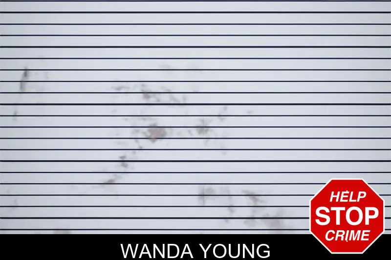 Wanda Young mugshot