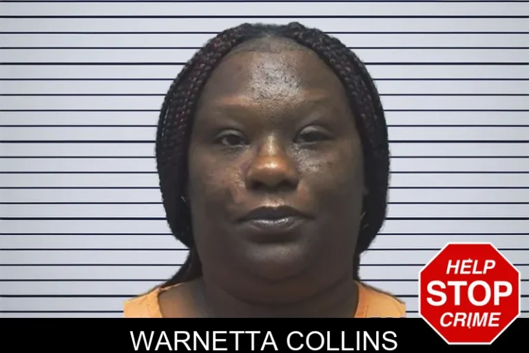 Warnetta Collins mugshot – Cherokee County , Georgia Warnetta Collins