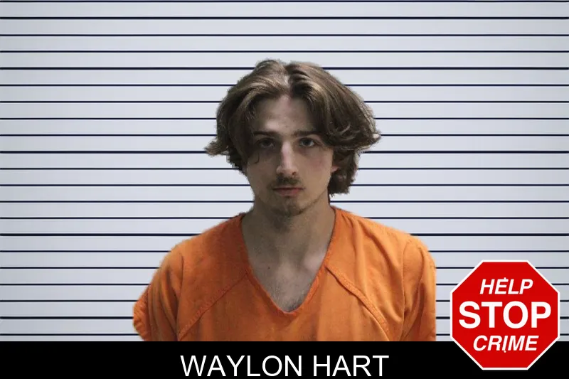 Waylon Hart mugshot – Murray County , Georgia Waylon Hart mugshot