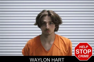 Waylon Hart mugshot