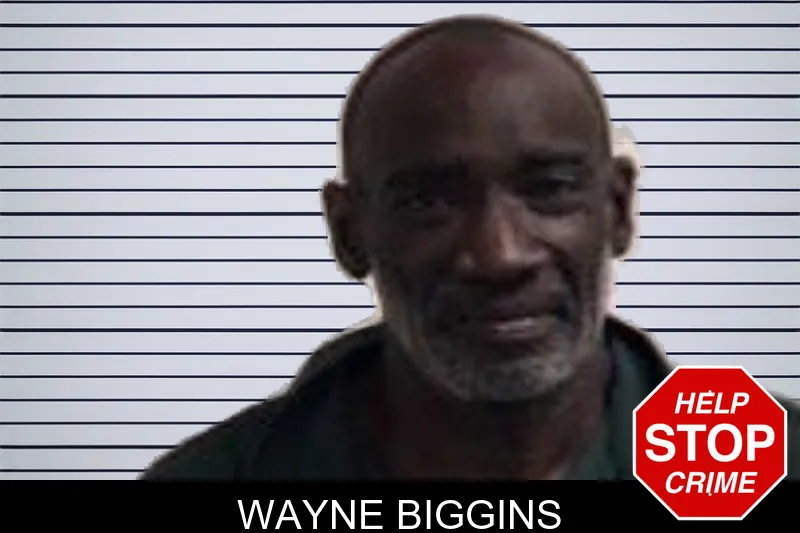 Wayne Biggins mugshot – Henry County , Georgia Wayne Biggins mugshot