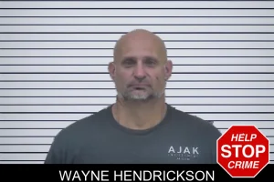 Wayne Hendrickson mugshot
