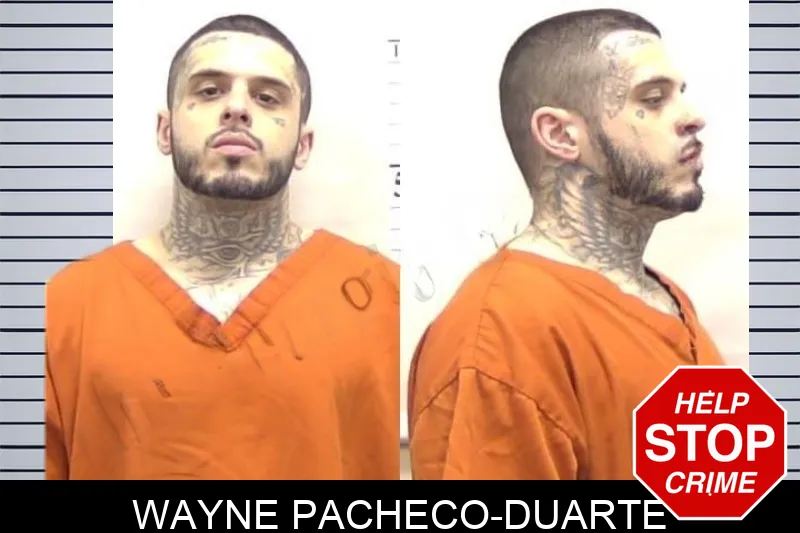 Wayne Pacheco-Duarte mugshot